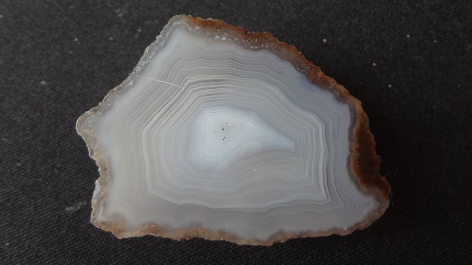 5,5 x 4 cm