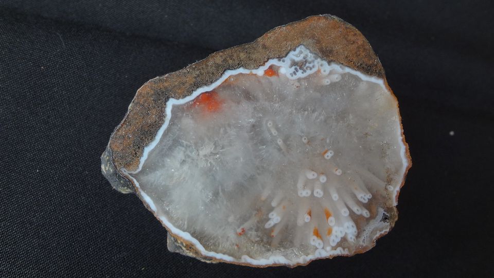 7,5 x 6,5 cm