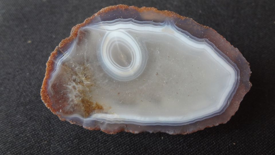 5,5 x 3,5 cm 