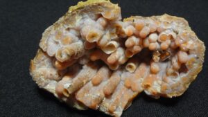 Achátové krápníky Maroko – velikost vzorku – 7 x 5 cm