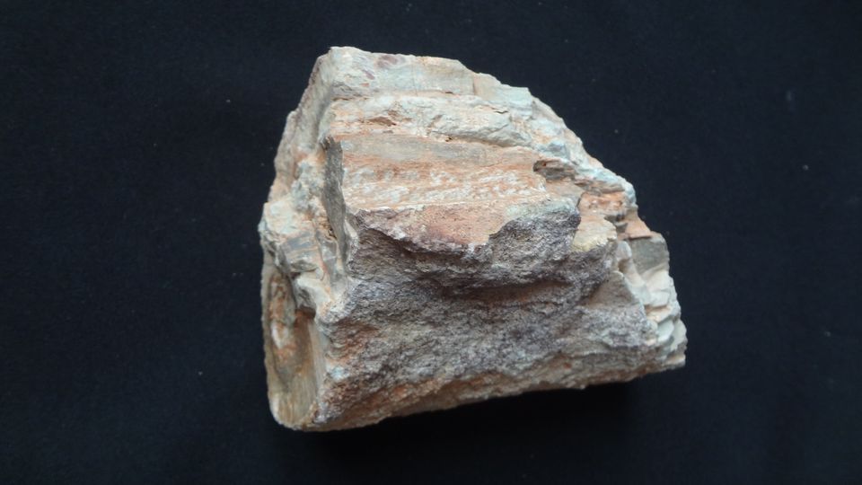 Přeslička – Novopacko , průměr 10 x 7,5 cm, špalek 12 cm. Společný nález se synem.