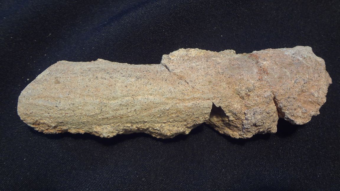 Přeslička - délka 26 cm           