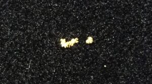 zlato ze zlatnice – větší zlatinka má na délku 2,5 mm